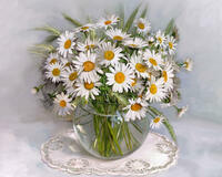 Без бренда «2KMA-0021» в Йошкар-Оле