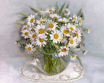 Без бренда «2KMA-0021» в Йошкар-Оле