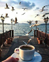 Без бренда «Кофе с видом на чаек» в Йошкар-Оле