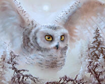 Без бренда «2KMB-3848» в Йошкар-Оле