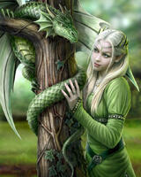 Без бренда «Эльфийка и зеленый дракон» в Йошкар-Оле