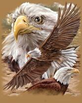 Без бренда «2KMB-4315» в Йошкар-Оле