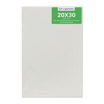 Без бренда «Коробка 80 шт.: Холст Две картинки на подрамнике 20X30» в Йошкар-Оле