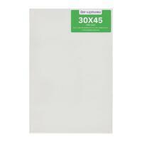 Без бренда «Коробка 40 шт.: Холст Две картинки на подрамнике 30X45» в Йошкар-Оле