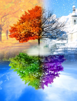 Без бренда «BOX10-2KLB-6100» в Йошкар-Оле