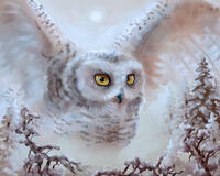 Без бренда «Полярная сова над лесом (20шт)» в Йошкар-Оле