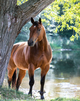 Без бренда «BOX20-2KMB-4594» в Йошкар-Оле