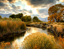 Без бренда «BOX25-GX29355» в Йошкар-Оле