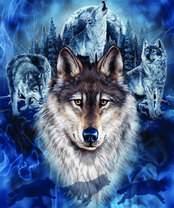 Без бренда «BOX40-2KXSB-0687» в Йошкар-Оле