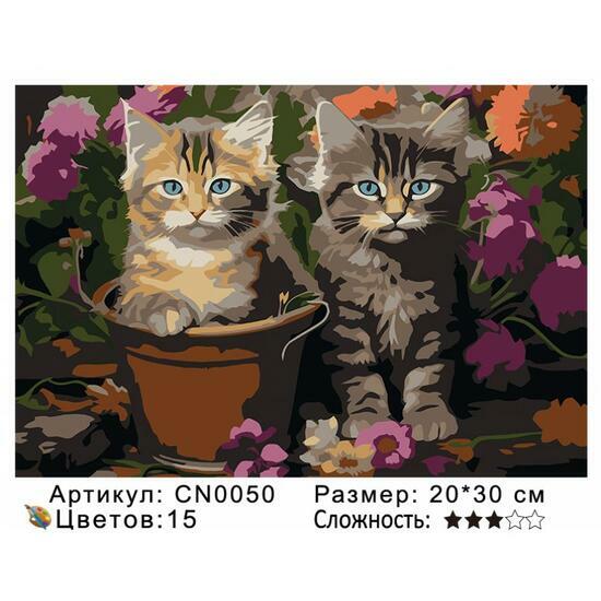 Картина по номерам 20x30 CN0050