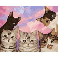 Без бренда «Такие разные котики» в Йошкар-Оле