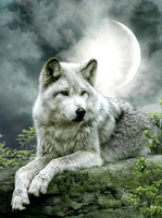 Без бренда «Коробка 25 шт. картин по номерам BOX25-GX21058» в Йошкар-Оле