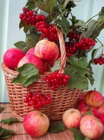 Без бренда «Коробка 25 шт. картин по номерам BOX25-GX5174» в Йошкар-Оле