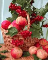 Без бренда «Плетёная корзина с калиной и яблоками» в Йошкар-Оле