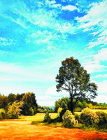 Без бренда «Осенний пейзаж с голубым небом» в Йошкар-Оле в интернет-магазине  Без бренда «Осенний пейзаж с голубым небом» в Йошкар-Оле