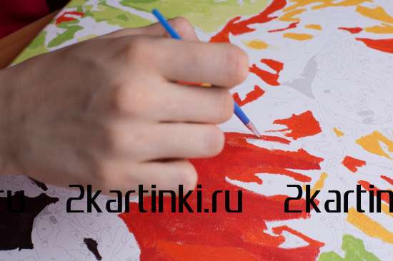 Картина по номерам 40x50 BOX25-GX24625 Коробка 25 шт. картин по номерам BOX25-GX24625 за 9900 руб.  в интернет-магазине  Картина по номерам 40x50 Коробка 25 шт. картин по номерам BOX25-GX24625